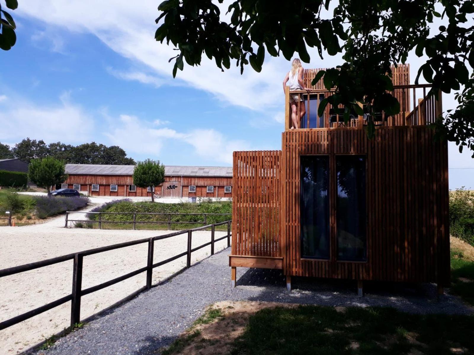 Villa Manege De La Chapiniere - Dadaloge Tiny-House Châteauvieux Exterior foto