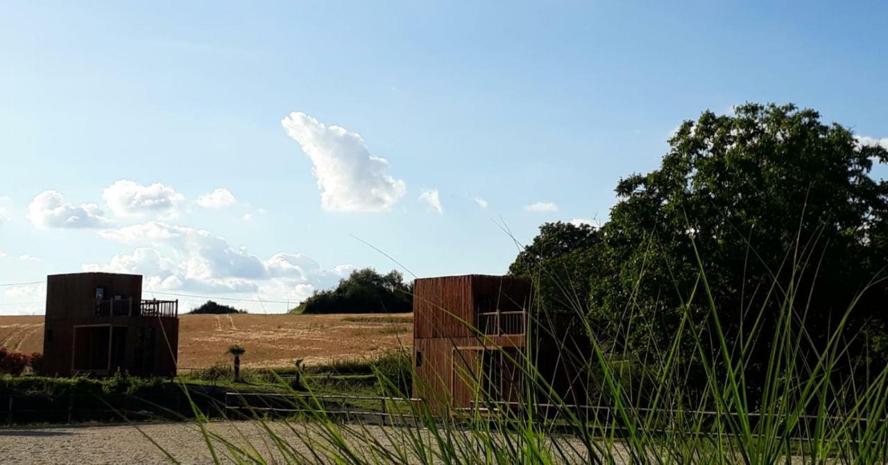 Villa Manege De La Chapiniere - Dadaloge Tiny-House Châteauvieux Exterior foto